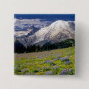 Search for mt stuff badges Mt rainier national park