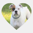 Search for pet friendly stickers Cute