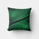 Search for feathers pattern cushions Background
