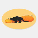 Search for bad luck stickers Kitty