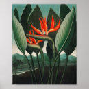 Search for oriental flowers posters Botanical