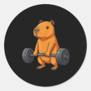 Search for in bulk stickers Gym transformation