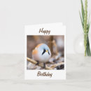 Search for tweets cards Photography