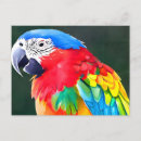 Search for tropical painting postcards Colourful