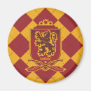 Search for quidditch magnets Gryffindor