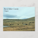 Search for rural postcards County