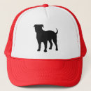 Search for american bulldog Pets