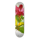 Search for watercolor skateboards Beauty