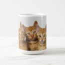 Search for ginger humor mugs Kitten