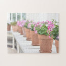 Search for flower pots puzzles Flowers