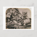 Search for fruit still life postcards Lives