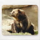 Search for grizzly mousepads Animal