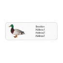 Search for mallard ducks return address labels Bird