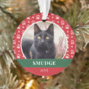Search for plastic paw Cat