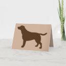 Search for chocolate labrador retriever cards Puppies