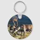 Search for reindeer key rings Caribou