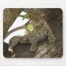 Search for jaws mousepads Wildlife