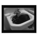 Search for cat bathroom posters Animal