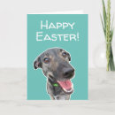 Search for dog easter cards Humour