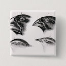 Search for darwinism badges English