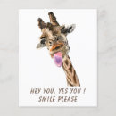 Search for giraffe flyers Animal