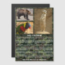 Search for military rectangular magnets Camouflage