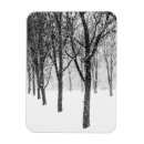 Search for bare tree cards Branches