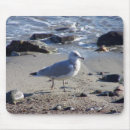 Search for gull electronics Ocean