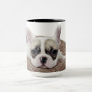 Search for french bull dog mugs Puppy