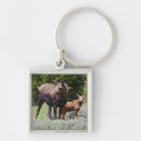Search for ditto key rings Mammal