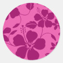 Search for hula stickers Aloha