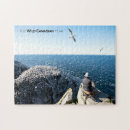 Search for gannets Cbc