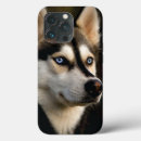 Search for husky iphone cases Dogs