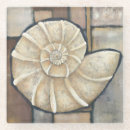 Search for sea shell coasters Conch seashell