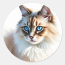 Search for blue eyes stickers Watercolor