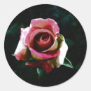 Search for oil paint stickers Flower