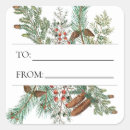 Search for conifer stickers Xmas
