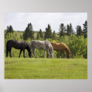 Search for farm scene posters Horizontal