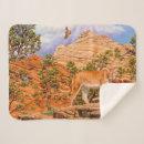 Search for national park blankets Animals