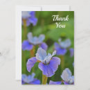 Search for iris flower cards Garden