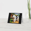 Search for old english sheepdog cards Puppy