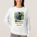 Search for chimpanzee photography Animals