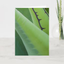 Search for habitat cards Flora