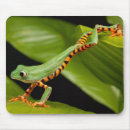 Search for rarely mousepads Animal