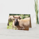 Search for california birthday cards Nature