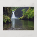 Search for columbia river gorge postcards Creek