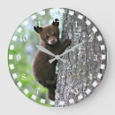 Search for climbing clocks Animals