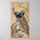 Search for japanese peacock art Fine
