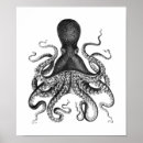 Search for black white ocean posters Octopus