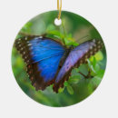 Search for blue butterfly christmas tree decorations Nature
